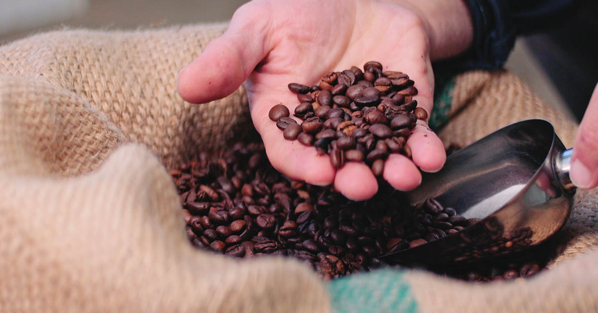 手の平のコーヒー豆の画像