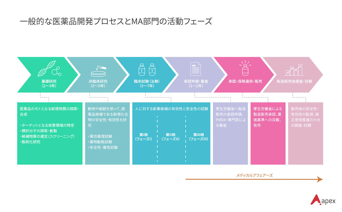 一般的な医薬品開発プロセスとMA部門の活動フェーズ