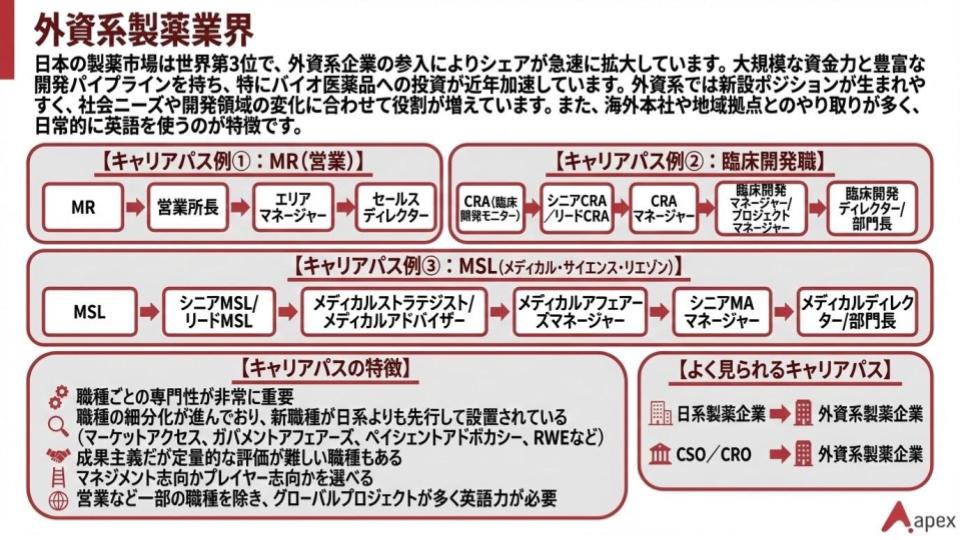 外資系製薬業界のMR、臨床開発、MSLなど主要職種のキャリアパスと特徴を紹介するインフォグラフィック