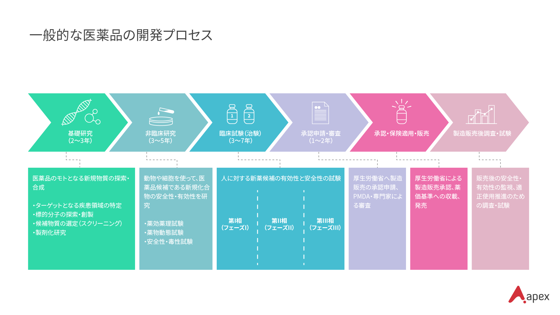 一般的な医薬品の開発プロセス