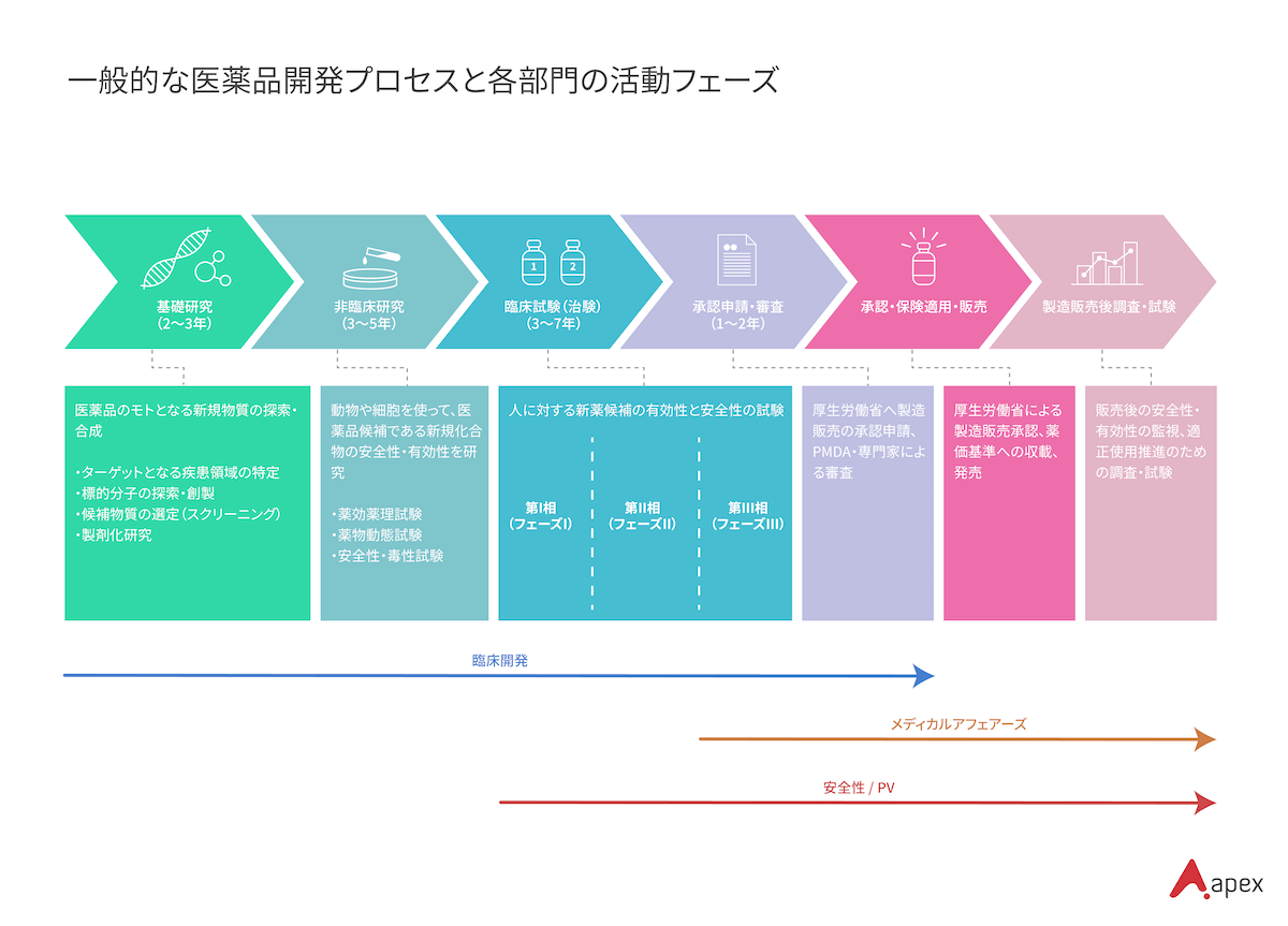 一般的な医薬品開発プロセスと各部門の活動フェーズ