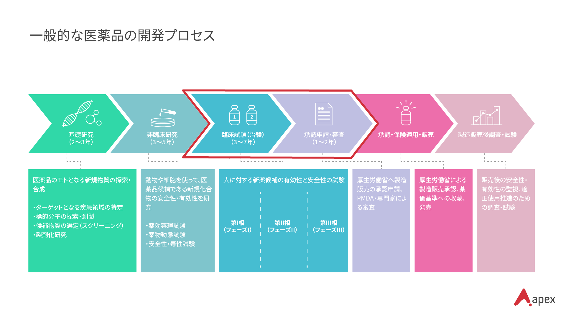 一般的な医薬品の開発プロセス